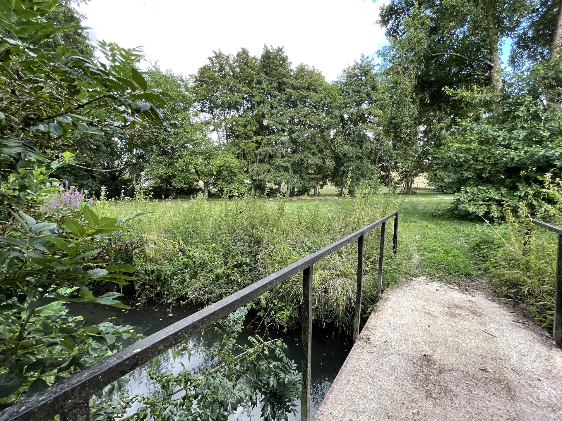 Traversez le gué droit dans le jardin